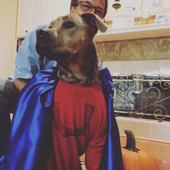 Meet the Posher - Picture 13 of 13